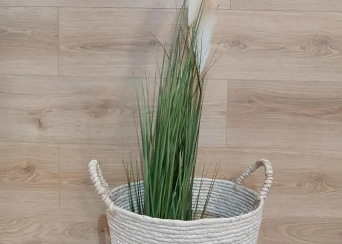 Trzy Kopce & Bike & Sauna